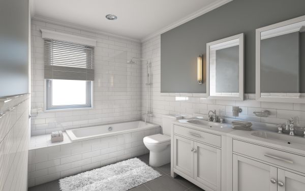 Cost of Restroom Remodeling in Delaware