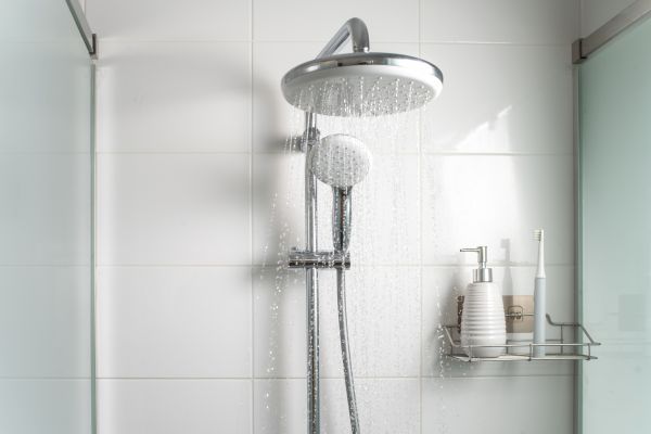 Cost of Shower Conversion Service in Delaware