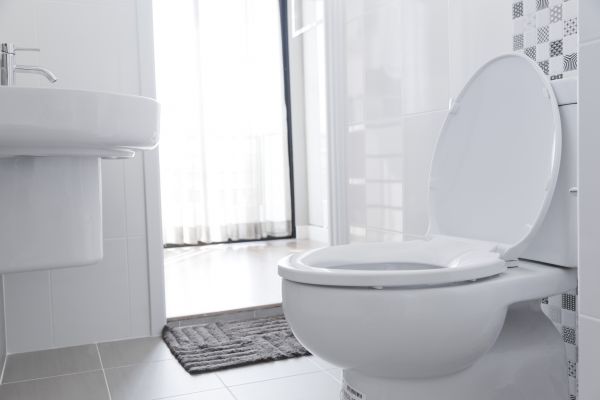 Cost of Toilet Relocation in Delaware